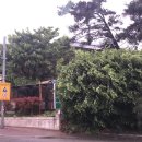 이태백야영장 이미지