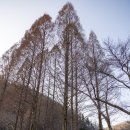 대전 DJI 드론모임으로 다녀온 논산 _ 온빛자연휴양림 카페벌곡 남촌칼국수