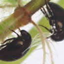 gc-camera-052 이미지