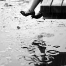 장석홍행정사 이미지