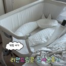 (주) 드림 | 신생아 아기침대 리안드림콧 실사용 후기 (당근 가격. 세탁법)