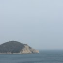 화랑포식당