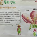 들꽃송이들은 사랑을 먹고 자라요~ 이미지