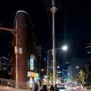 장수갈매기 이미지