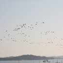 아라메길(2-1) 이미지