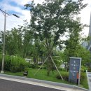 운주골흑염소 이미지