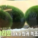카페마리모 이미지