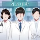 외국의대 나와도 국내의사 되기 '쉽지 않네'…최종 합격률 33% 이미지