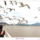 외포리선착장 이미지