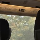 스카이민박 | [체코 2박3일] 체코 한인민박, 체코 맛집, 굴뚝빵...포크너, 현지인 맛집, 카페 추천, 스카이다이빙 취소