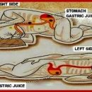 밥 먹고 바로 누울 땐 왼쪽으로 눕기 이미지