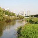 학의천변 이미지