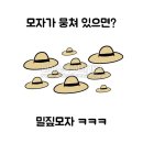 드루와PC 이미지