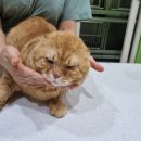 중산5길 이미지