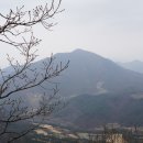 창원 조롱산(303m).함안 작대산(爵大山687m.청룡산)/경남 마산 이미지