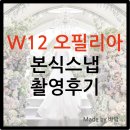 오필리아 | W12 오필리아 픽처 본식스냅 촬영 후기