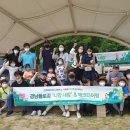 니캉내캉 이미지