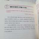 데일리96