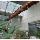 봉팔이네 이미지