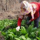 채운보건지소 이미지