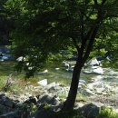 가장문화길 이미지