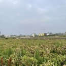 월령리사무소 이미지