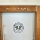 마리오펫 이미지