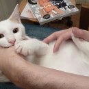 엔진미용실 이미지