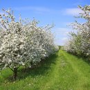 이승호 행정사사무소 이미지