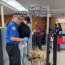 쓰담쓰담 이미지