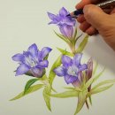 힐링보태니컬아트 이미지