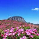 높은산