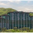 (주)소노인터내셔널 거제지점 이미지