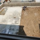 노스게러지 이미지