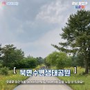 창원 가볼만한 곳_놀러가기 좋은 나들이 장소 모음!