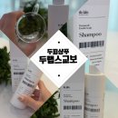 두랩스 교보