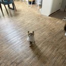 우인세탁 이미지