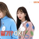 네이처리프
