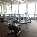 라이언 휘트니스 이미지