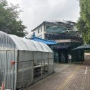 하늘과나무 | 독립기념관 펜션 - <내돈내산 솔직후기> 단체 모임 세미나 숙소 하늘과나무