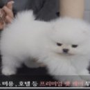 제이오토서비스 이미지