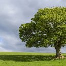 내인당한의원 이미지