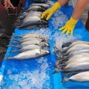 신탄진시장 이미지