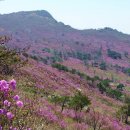 현풍농업협동조합 이미지