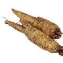 더덕의효능 부작용 더덕 제철 먹는법 이미지