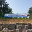 영중중학교 이미지