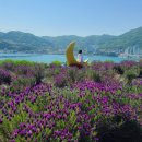 진성 마을회관 이미지