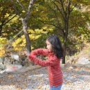 새밭야영장 이미지