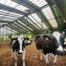 경인축산 이미지