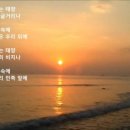 보라자원 이미지